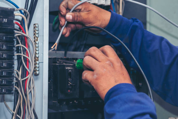 Best Electric Panel Repair  in Apalachin, NY